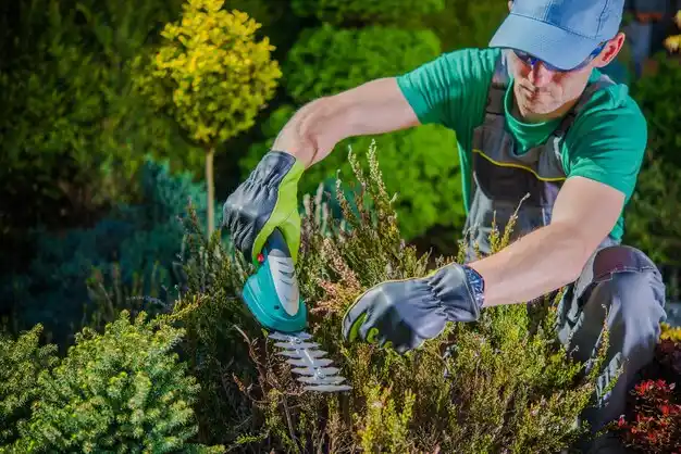 landscaping services Sherwood